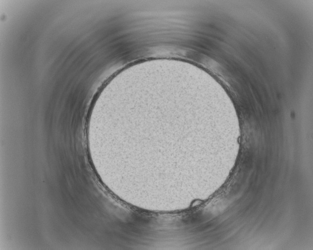 X0000073700848200608311728