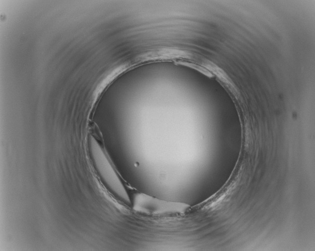 X0000073700850200608311728