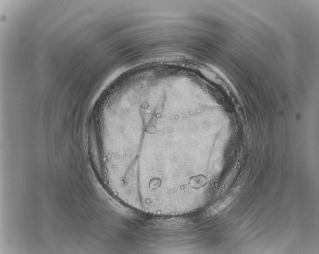 X0000073700851200608311728