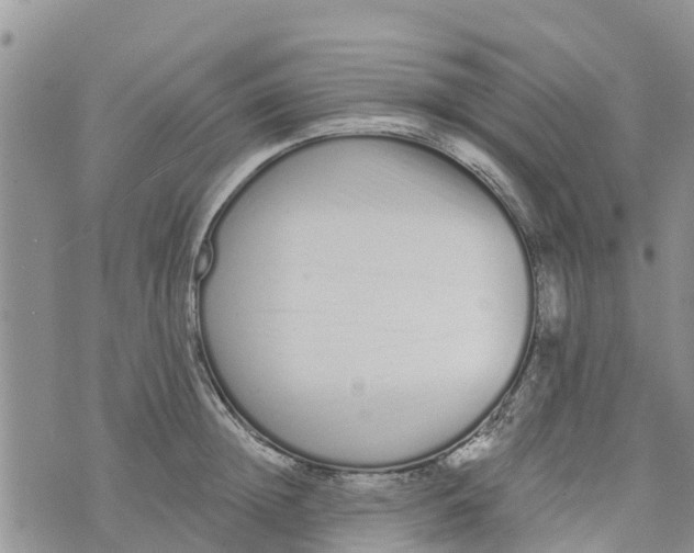 X0000073700852200608311728