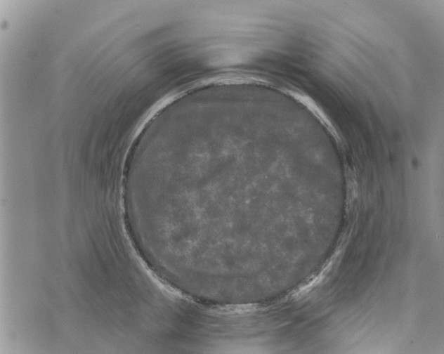 X0000073700853200608311728