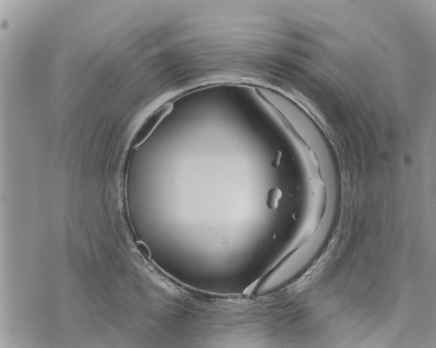 X0000073700854200608311728