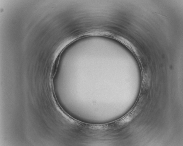 X0000073700855200608311728