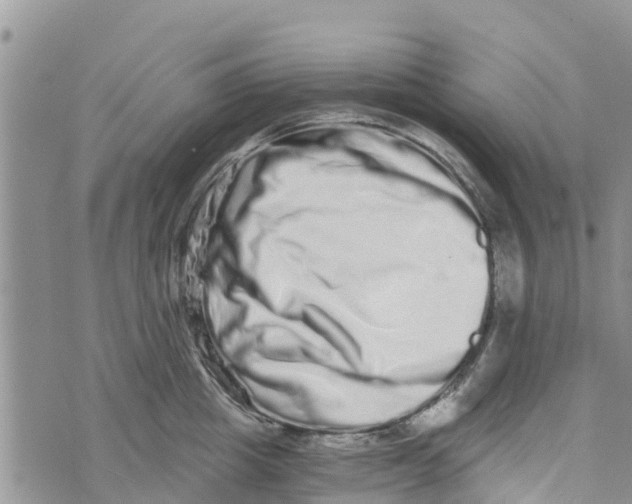 X0000073700857200608311728