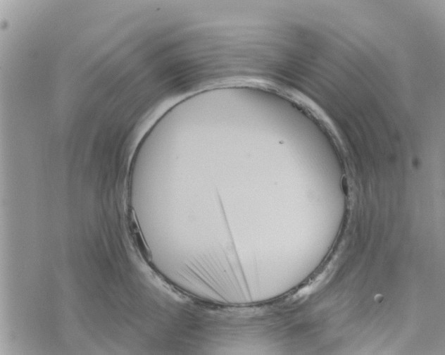 X0000073700860200608311728