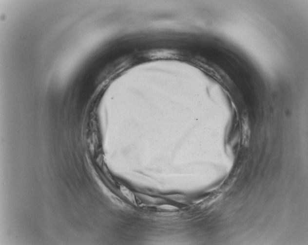 X0000073700861200608311728