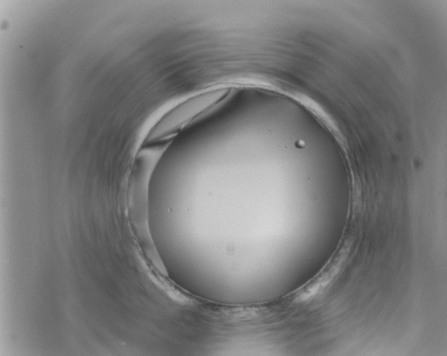 X0000073700862200608311728