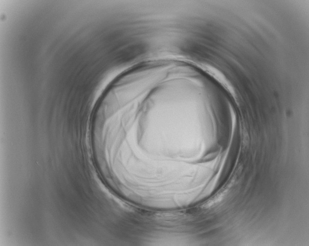 X0000073700863200608311728