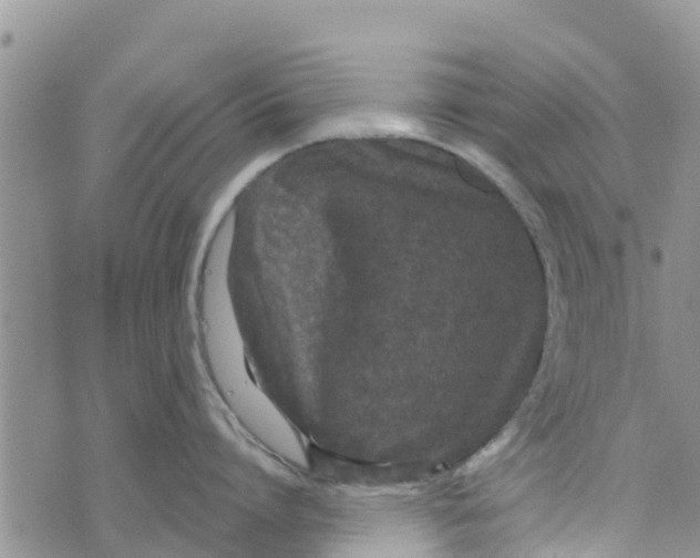 X0000073700864200608311728