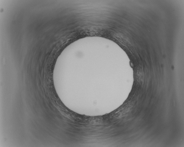 X0000073700865200608311727