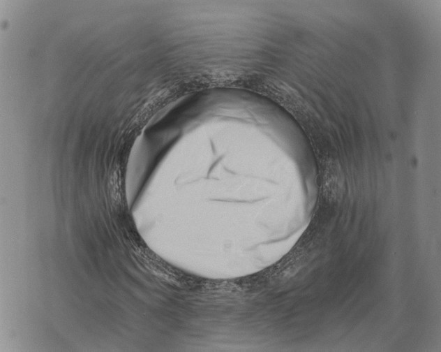 X0000073700866200608311727