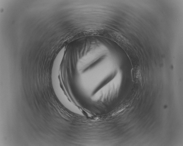 X0000073700868200608311727