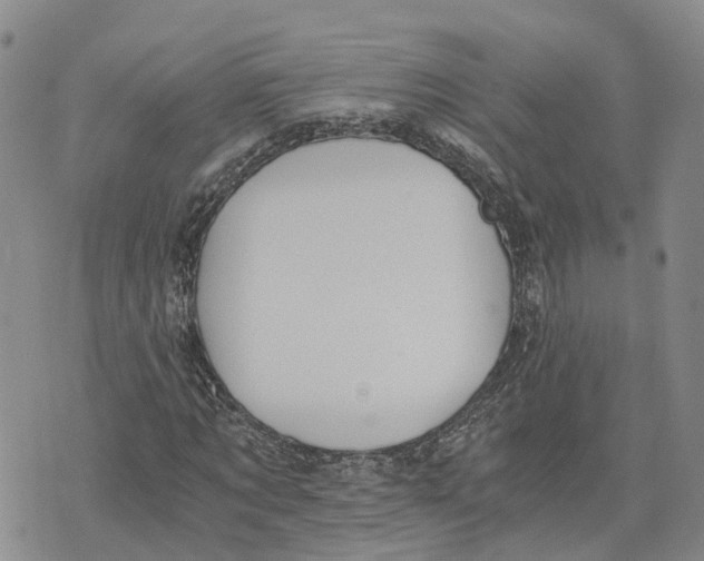 X0000073700869200608311727