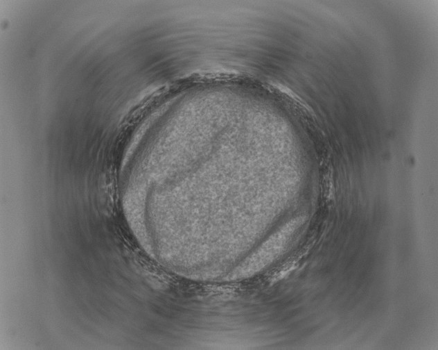 X0000073700870200608311727