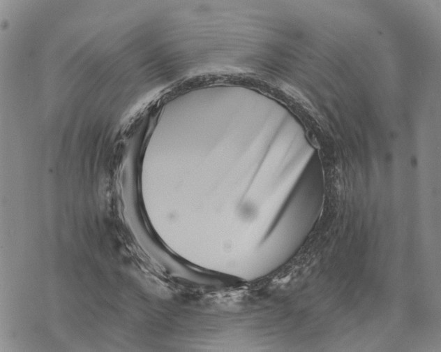 X0000073700872200608311727