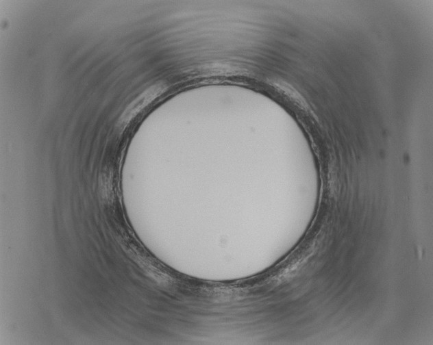 X0000073700873200608311727