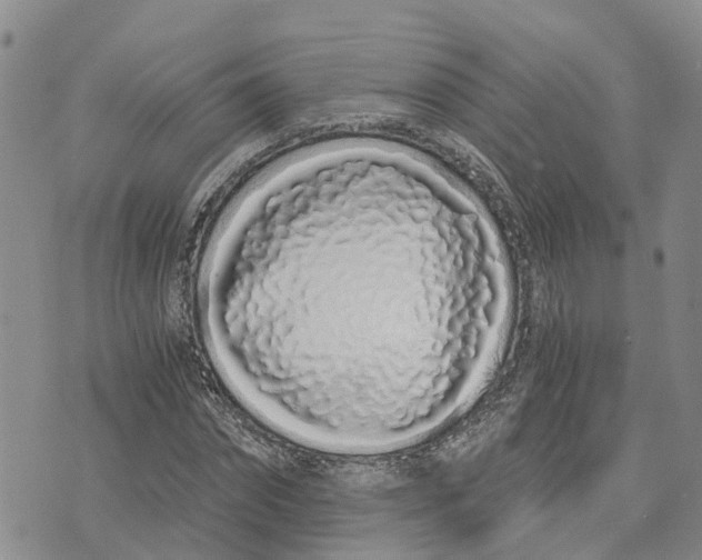 X0000073700874200608311727