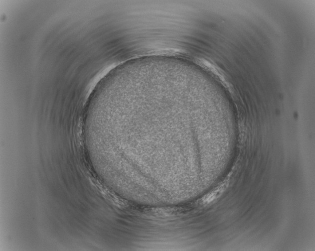 X0000073700875200608311727