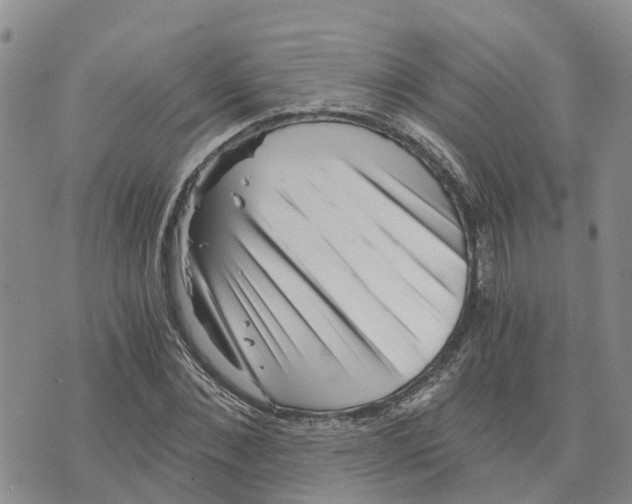 X0000073700876200608311727