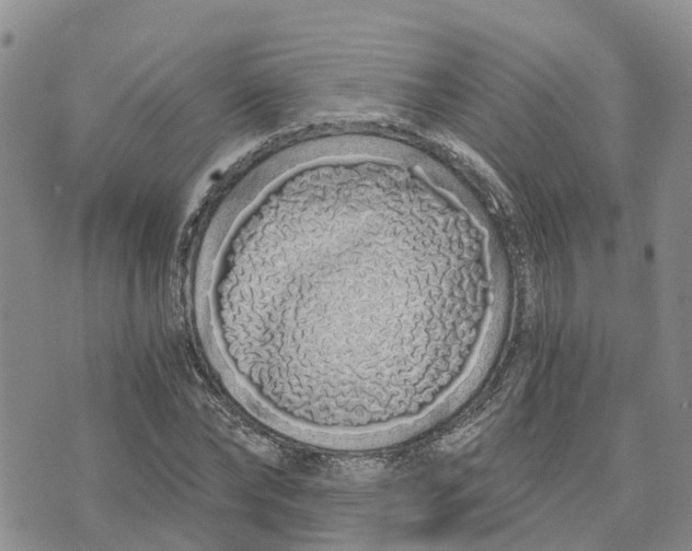 X0000073700878200608311727