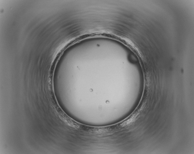 X0000073700879200608311727