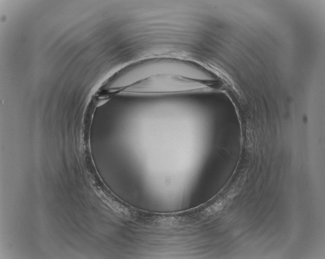 X0000073700880200608311727