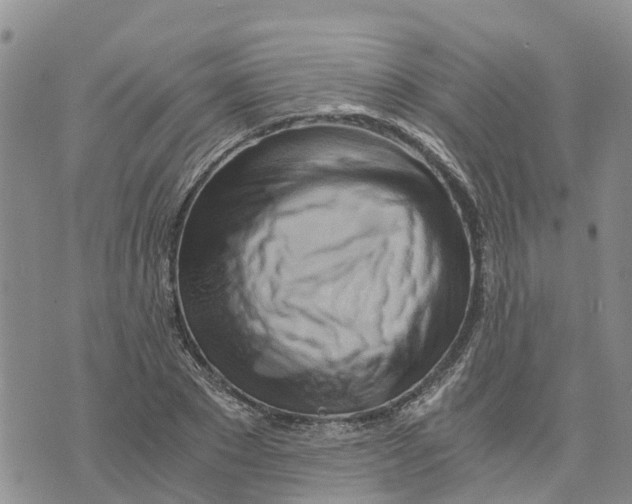 X0000073700881200608311727