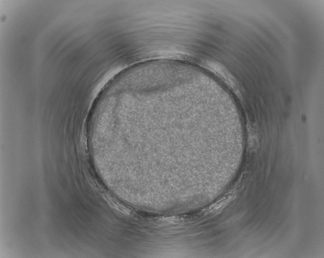 X0000073700883200608311727