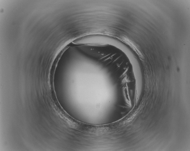 X0000073700884200608311727