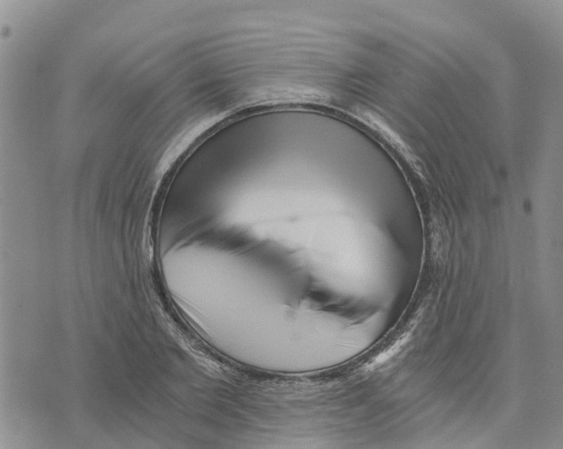 X0000073700885200608311727