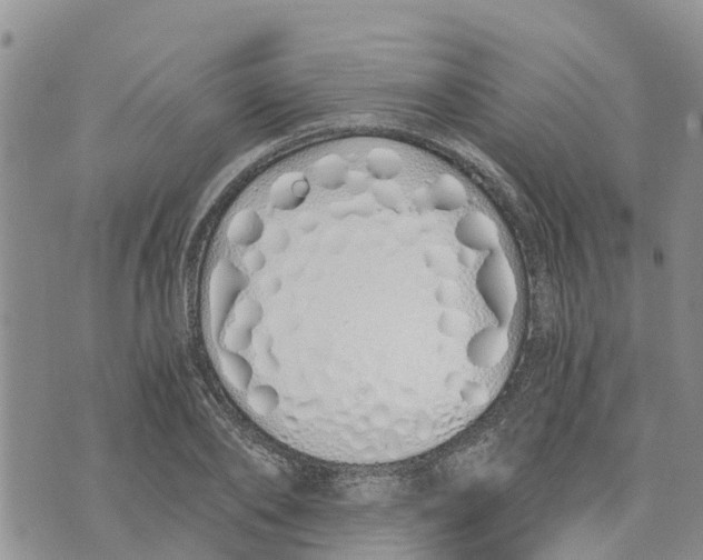 X0000073700886200608311727