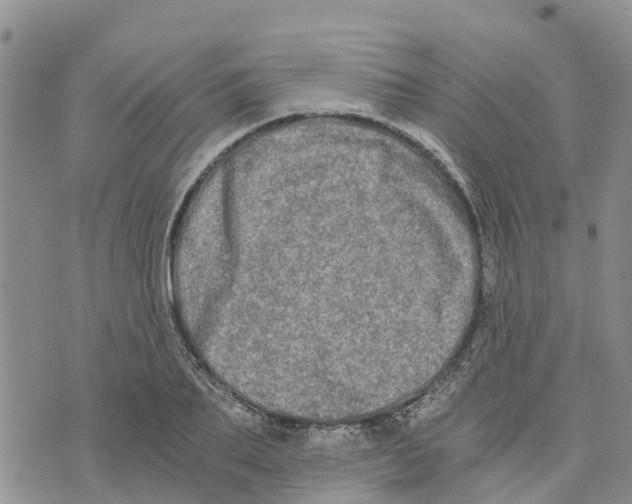 X0000073700887200608311727