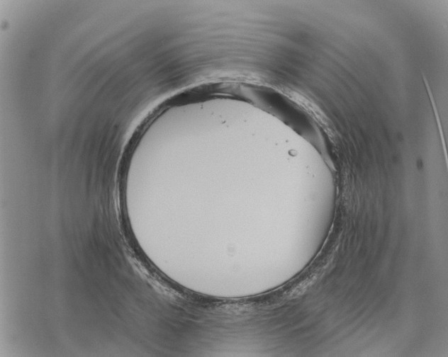 X0000073700888200608311727