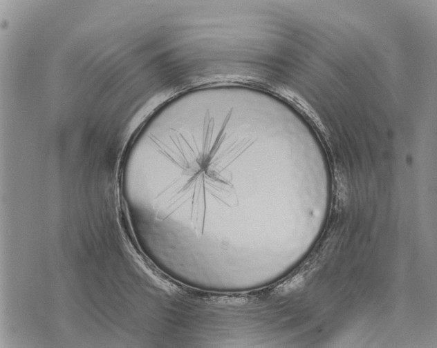 X0000073700890200608311727