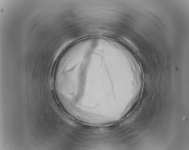 X0000073700891200608311727