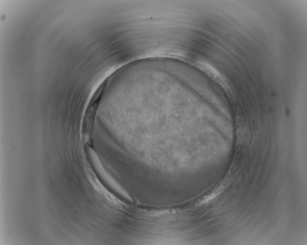 X0000073700892200608311727