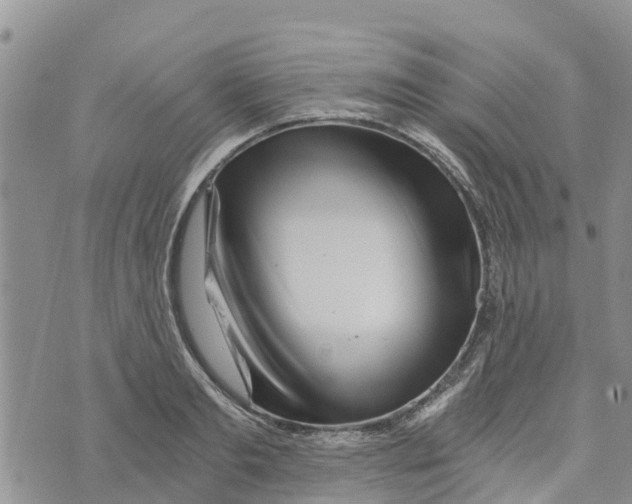 X0000073700893200608311727