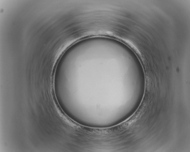 X0000073700895200608311727