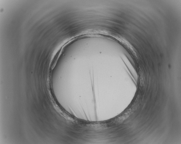 X0000073700896200608311727