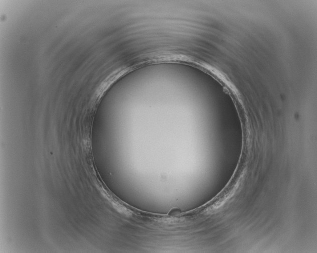 X0000073700897200608311727