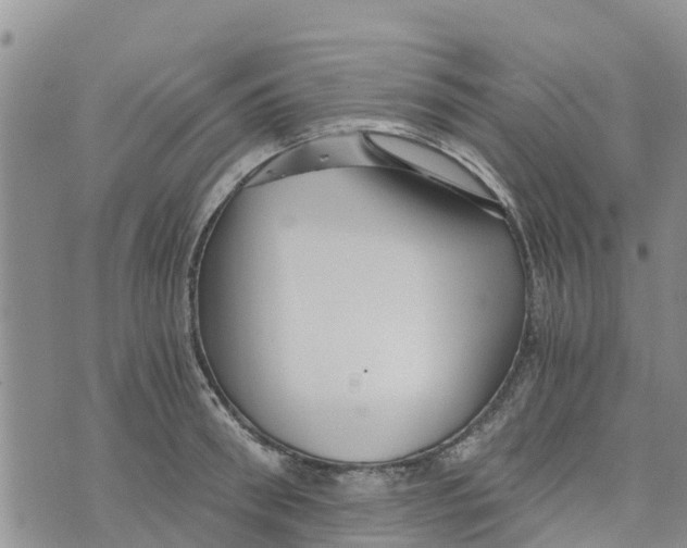 X0000073700898200608311727