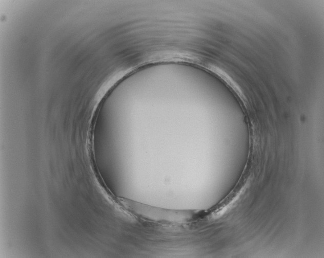 X0000073700901200608311727