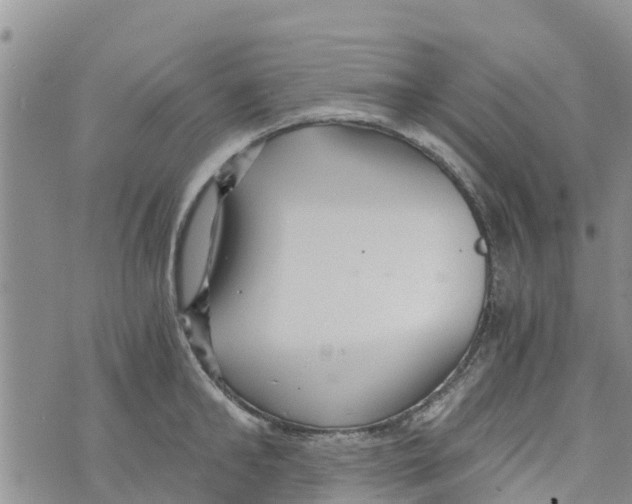 X0000073700902200608311727