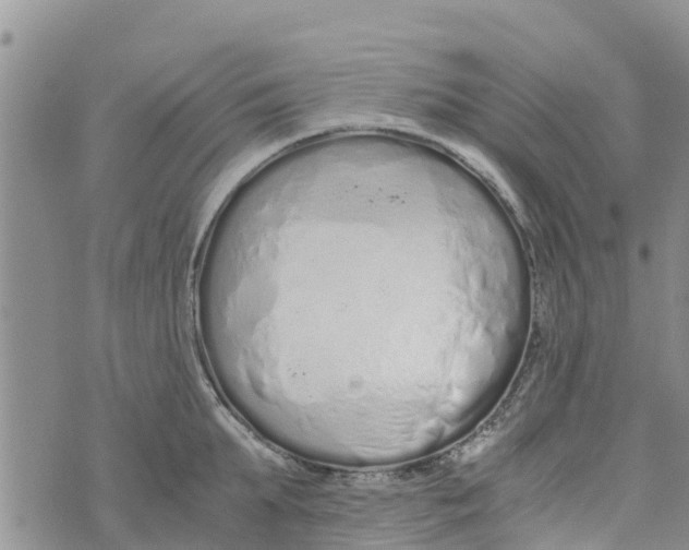 X0000073700903200608311727