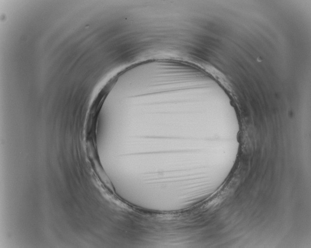 X0000073700904200608311727