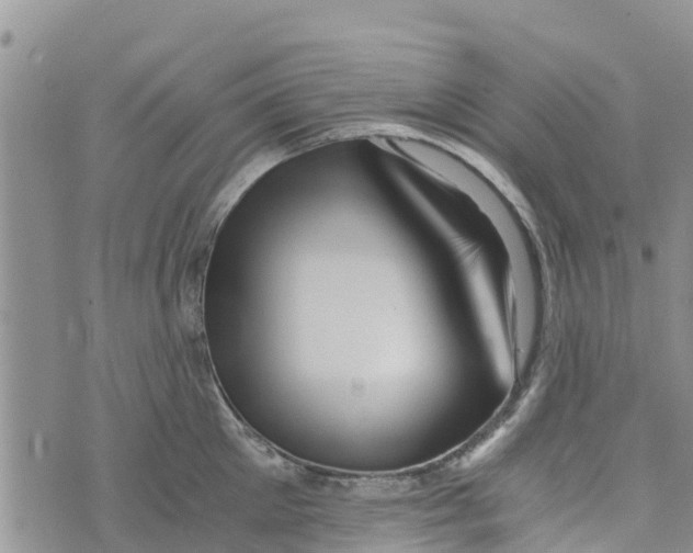 X0000073700905200608311727