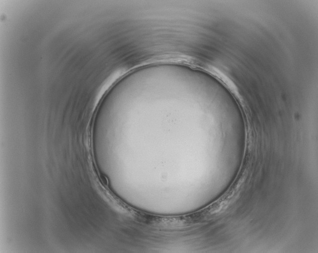 X0000073700907200608311726