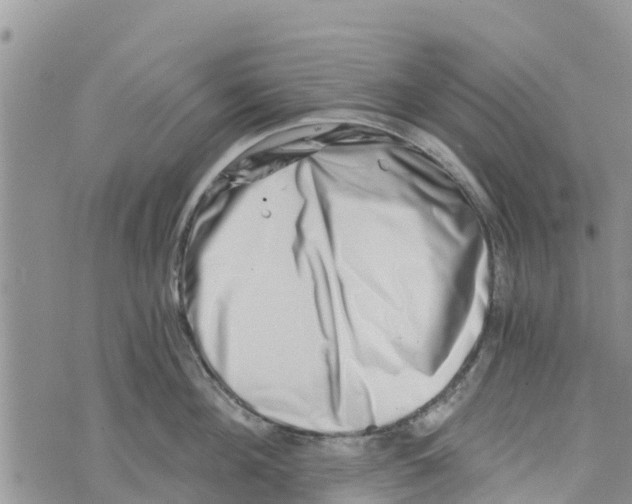 X0000073700908200608311726