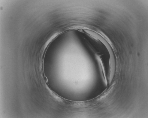 X0000073700909200608311726