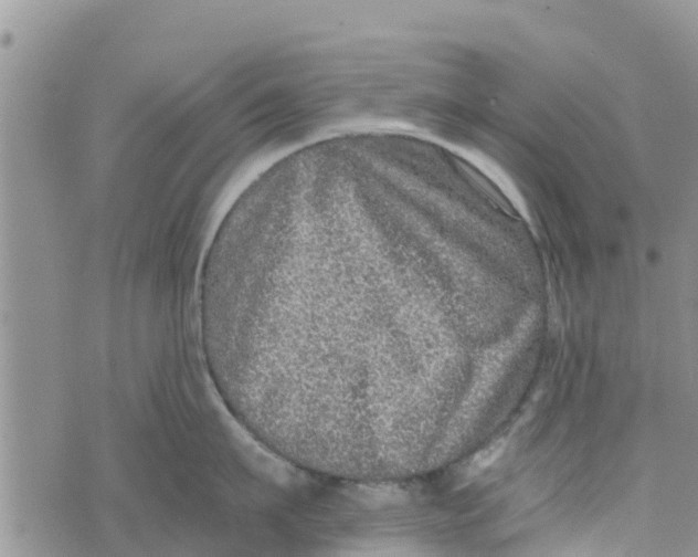 X0000073700911200608311726